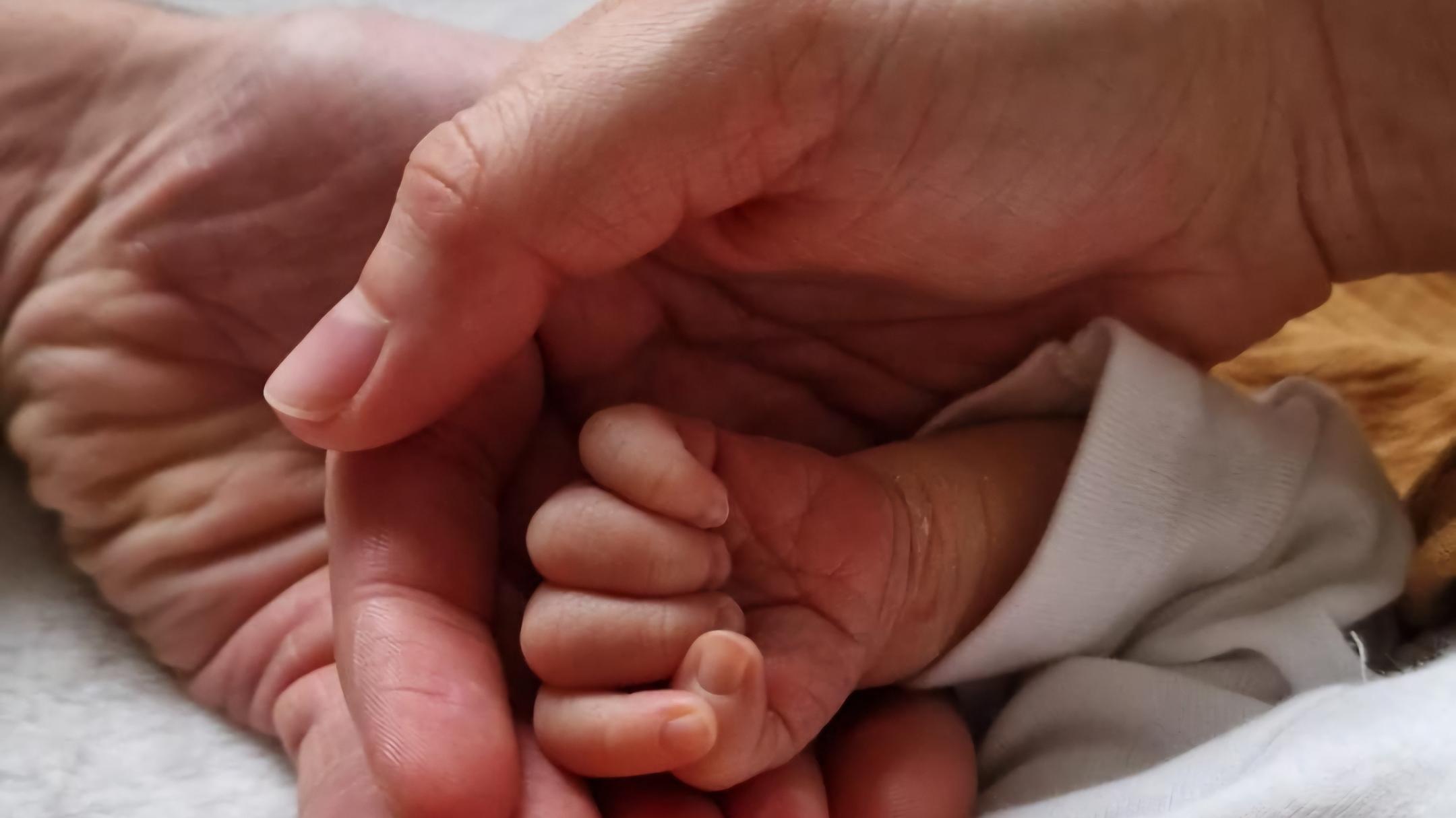 Eltern- und Kindhände die sich festhalten